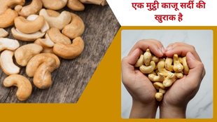 Reasons to consume cashews daily,Why eat cashews, cashews, cashew health, cashew health benefits, health benefits of cashews at winter,Boosts immunity,Excellent source of energy ,सर्दी में काजू खाने के फायदे, सर्दी में एक मुट्ठी काजू खाने से सेहत पर कैसा असर होता है