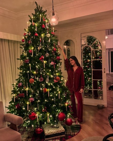 Celebs Christmas Celebration Pics
