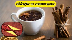 हाई कोलेस्‍ट्रॉल को बाहर निकाल देगी ये चाय, बंद नसें भी जाएंगी खुल, ऐसे करें तैयार