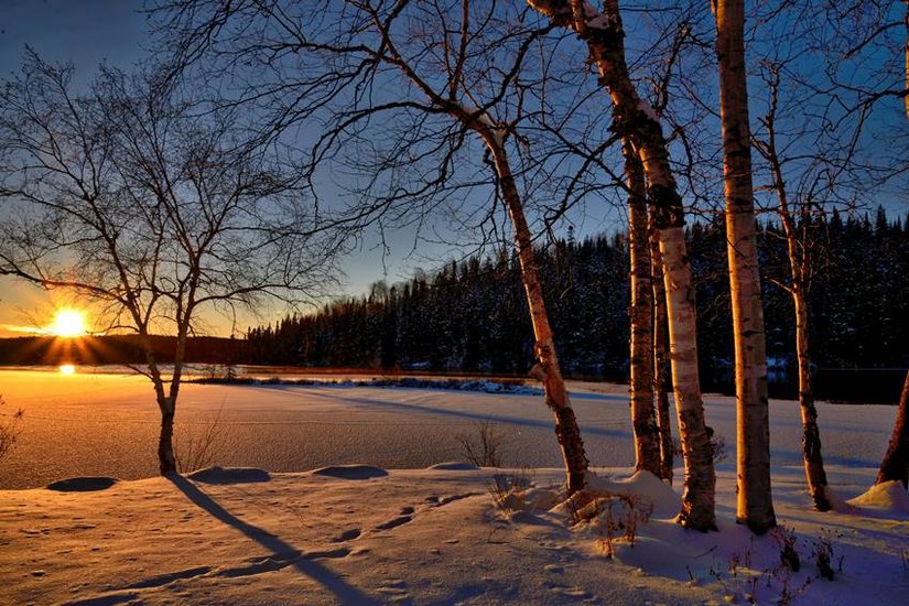 Vitamin D in Winter