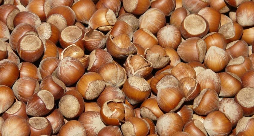 What to eat for Vitamin D in winter