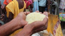 Blog: 22 करोड़ से ज्यादा लाभार्थियों तक नहीं पहुंच रहा फ्री अनाज, भूख और कुपोषण की बढ़ती चुनौतियां