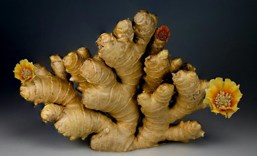Ginger adulteration