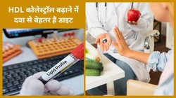 बिना दवा के नसों में जमा गंदा कोलेस्ट्रॉल हो जाएगा साफ, रोजाना सिर्फ ये 4 फूड खाना शुरू कर दें, नेचुरल तरीके से गुड CHOLESTROL बढ़ेगा