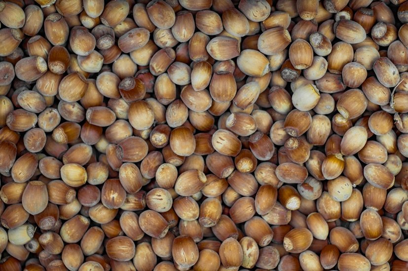 Hazelnuts
