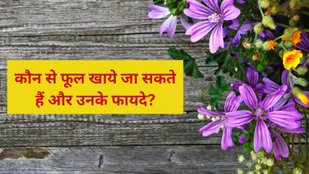 Herbal Teas with Flowers