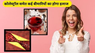 amazing benefits of Hibiscus: गुड़हल की चाय के फायदे