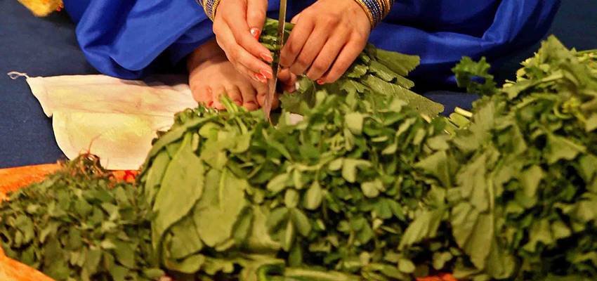 Benefits of Bathua saag