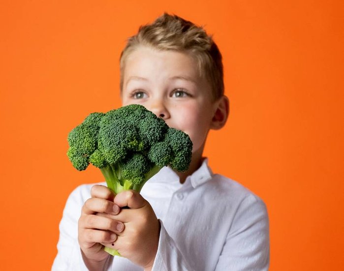Which Foods improve memory power
