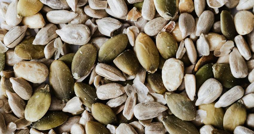 Foods for Brain