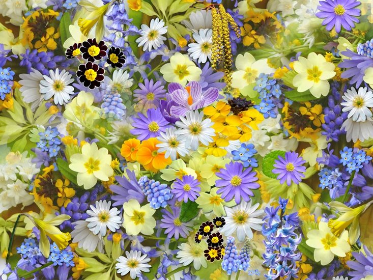 How to make flowers last longer