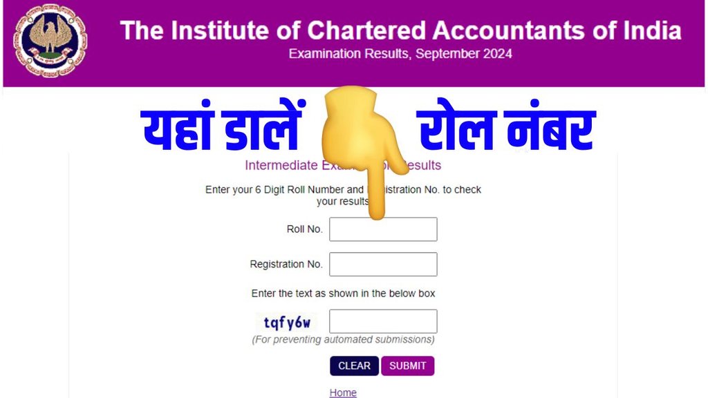 ca result, icai result nov 2024, ca final results, ca results, icai.nic.in, ca final results nov 2024, ca merit list, icai ca merit list