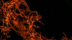 ‘तंग आ गए थे…’, दो भाइयों ने पिता की पीटकर की हत्या, जलाया शव, मर्डर की वजह सुनकर सन्न रह गई पुलिस