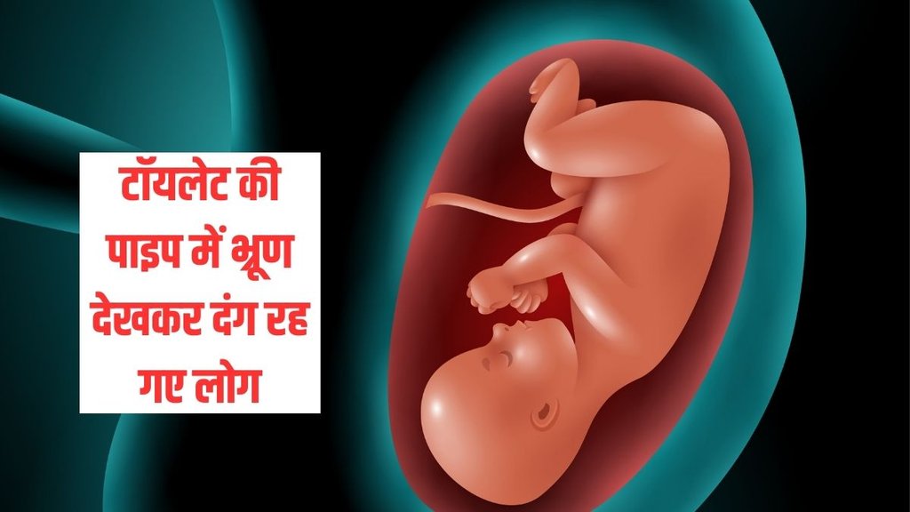 Ghaziabad| Ghaziabad News| Ghaziabad Foetus Ghaziabad| Ghaziabad News| Ghaziabad Foetus