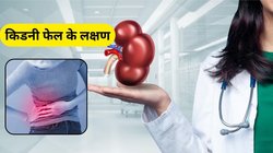 Kidney Damage Symptoms: किडनी फेल होने से पहले शरीर देता है ऐसे संकेत, एक्सपर्ट से जानिए कैसे करें बचाव