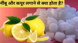 कपूर एक फायदा अनेक… बालों को झड़ने से लेकर वजन को कम करने तक में आता है काम; ऐसे करें इस्तेमाल