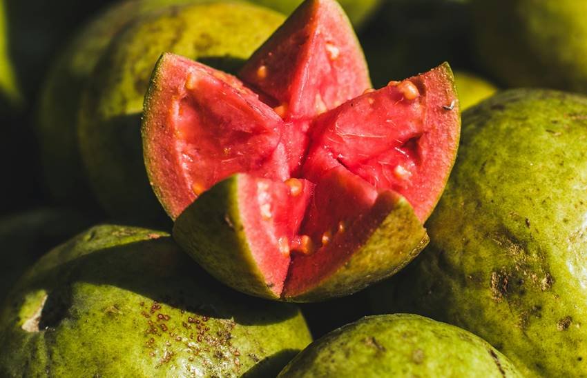 Guava Benefits