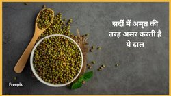 सर्दी में रोजाना मूंग की दाल का सेवन भिगोकर किया जाए तो सेहत पर कैसा होता है असर, एक्सपर्ट से जानिए