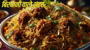Biryani famous cities of india