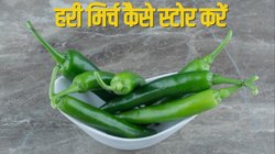 तेल में हरी मिर्च कैसे स्टोर करें? जानें इसे लंबे समय रखने करने के 3 तरीके