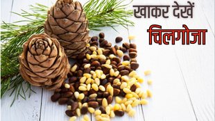 pine nuts benefits for skin hair