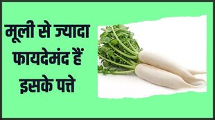 Mooli patta Benefits । benefits of radish leaves । Winter Weight loss food