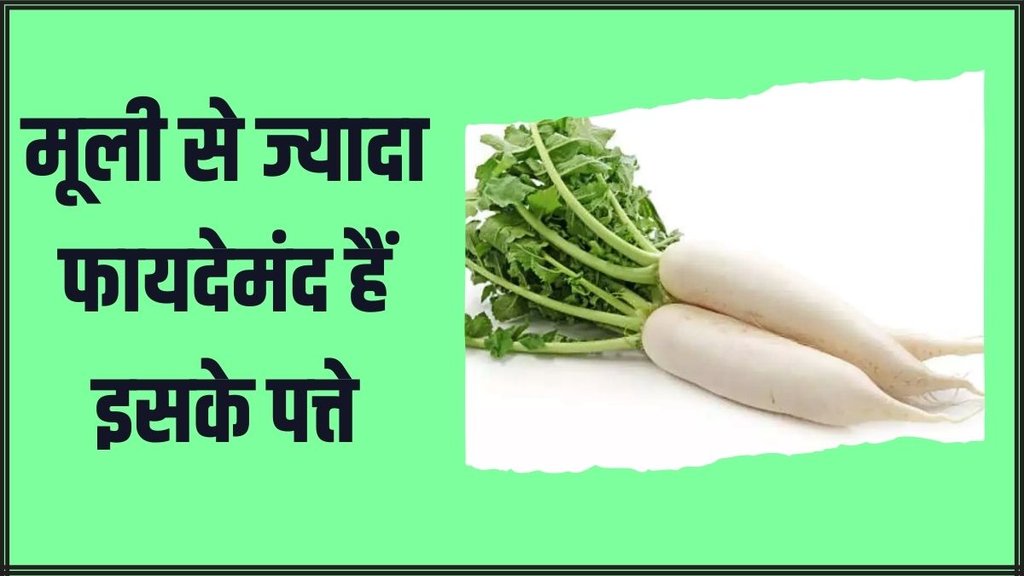 Mooli patta Benefits । benefits of radish leaves । Winter Weight loss food