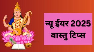 New Year 2025 Vastu Tips, New Year 2025, Vastu Tips, New Year Upay, Astro Remedies for New Year 2025, New Year 2025 Vastu Shastra, New Year 2025 Remedies