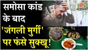 एक ऐसा राज्य जहां आए दिन कुछ अजीबोगरीब कांड खबरों में रहते हैं...इस बार का मामला हिमाचल के सीएम सुक्खू के डिनर प्रोग्राम से आया है जहां...एक जंगली मुर्गे का मीट परोसना गजब बवाल हुआ...जंगली मुर्गे को मारना कानूनी अपराध है...लेकिन जब खबरें चलीं तो बीजेपी ने तो कांग्रेस नेता पर हमला बोला...जिसके बाद सीएम सुक्खू को बयान जारी करना पड़ गया.बीते दिन सुक्खू शिमला के चौपाल के कुपवी गांव के दौरे पर थे...यहां एक डिनर प्रोग्राम के दौरान जंगली मुर्गे का मीट परोसा गया.