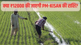PM KISAN, PM KISAN SAMMAN, PM KISAN AMOUNT