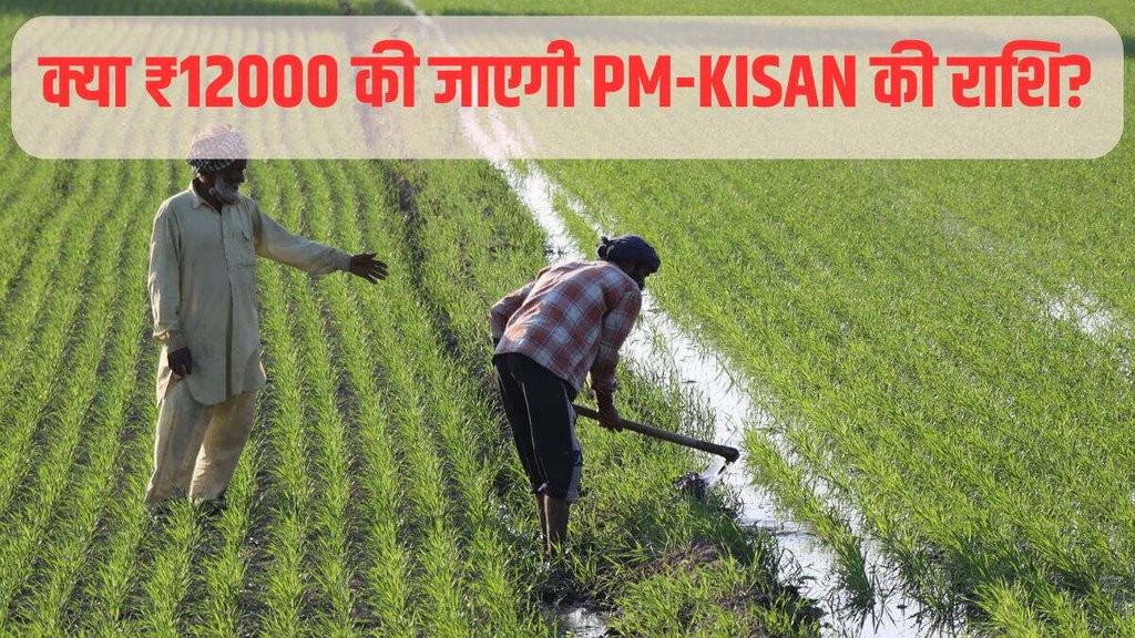 PM KISAN, PM KISAN SAMMAN, PM KISAN AMOUNT