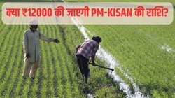 PM KISAN: दोगुनी होगी पीएम किसान सम्मान निधि की राशि? संसदीय पैनल ने की ये सिफारिश; MSP पर भी दिया सुझाव