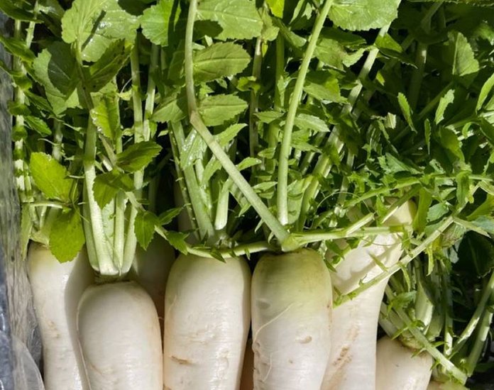 radish leaves benefits