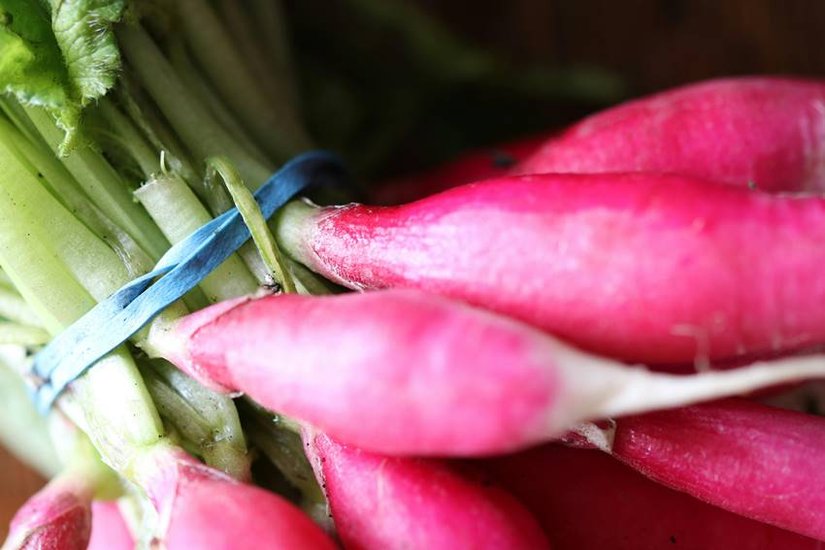 is radish leaves control uric acid