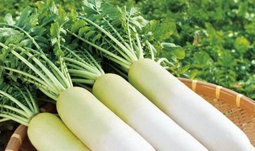 foods to control for uric acid