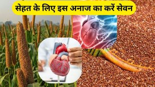 Ragi grain: रागू के फायदे