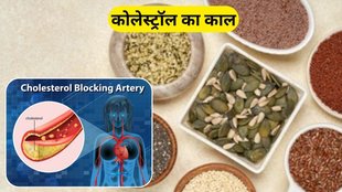 Reduce Cholesterol: कोलेस्ट्रॉल को कम करेंगे ये बीज