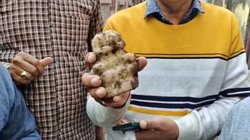 संभल में 46 साल बाद खुले मंदिर के पास कुएं से निकली मां पार्वती की खंडित मूर्ति, सोमवार को जलाभिषेक करने पहुंचे थे श्रद्धालु