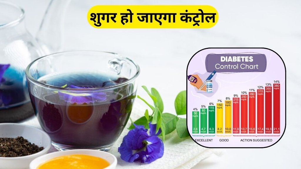 Shankhpushpi control diabetes: शगुर के मरीजों के लिए शंखपुष्पी के फायदे