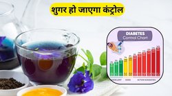 फास्टिंग शुगर 250mg/dl से ज्यादा रहता है तो खाली पेट इन 10 पत्तियों को चबा लें, रोज़ Blood Sugar रहेगा नॉर्मल, मिलेंगे बेहतरीन फायदे