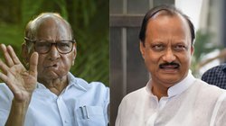 चाचा को चुनावी शिकस्त देने के बाद जब पहली बार शरद पावर से मिले अजित पवार, बेहद खास था मौका