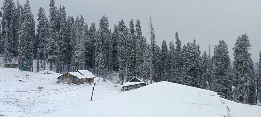 SnowFall in Kashmir
