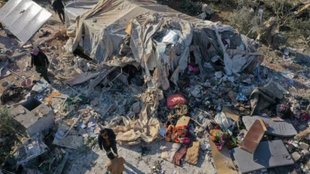 Syria | Indian |