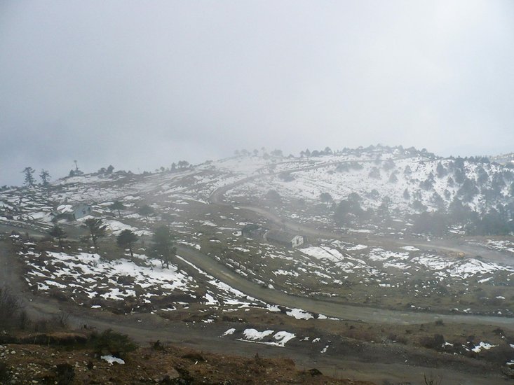 Tawang