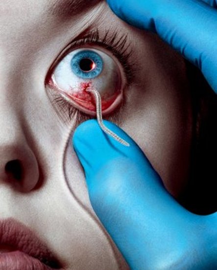 The Strain