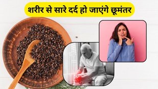 Timur Seeds Benefits: शरीर से सारे दर्द हो जाएंगे छूमंतर