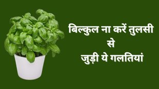 Tulsi Vastu Tips, Vastu Tips for Tulsi, Tulsi Puja Ke Niyam, Vastu Shastra, Vastu Tips in Hindi, Tusli Puja Niyam in Hindi, Ghar ke liye Vastu Tips, Vastu Tips in Hindi