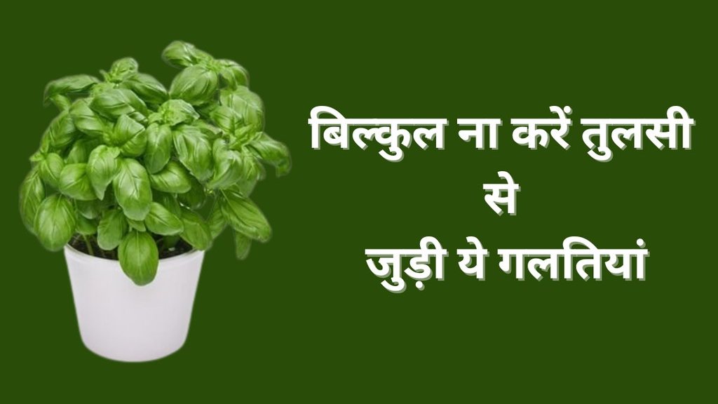 Tulsi Vastu Tips, Vastu Tips for Tulsi, Tulsi Puja Ke Niyam, Vastu Shastra, Vastu Tips in Hindi, Tusli Puja Niyam in Hindi, Ghar ke liye Vastu Tips, Vastu Tips in Hindi