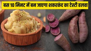 Sweet potato । shakarkand ka halwa । shakarkand ka halwa recipe in hindi
