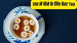 Good Night Tips: कैसे बनाई जाती है Chamomile Tea? सीखें क्योंकि रात में पीने के लिए यही चाय है बेस्ट